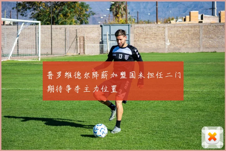 普罗维德尔降薪加盟国米担任二门期待争夺主力位置