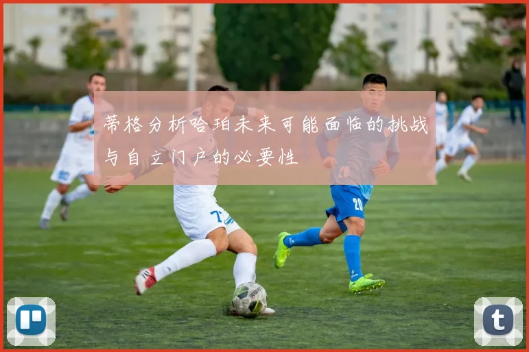 蒂格分析哈珀未来可能面临的挑战与自立门户的必要性